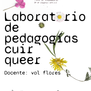 LABORATORIO DE PEDAGOGÍAS CUIR