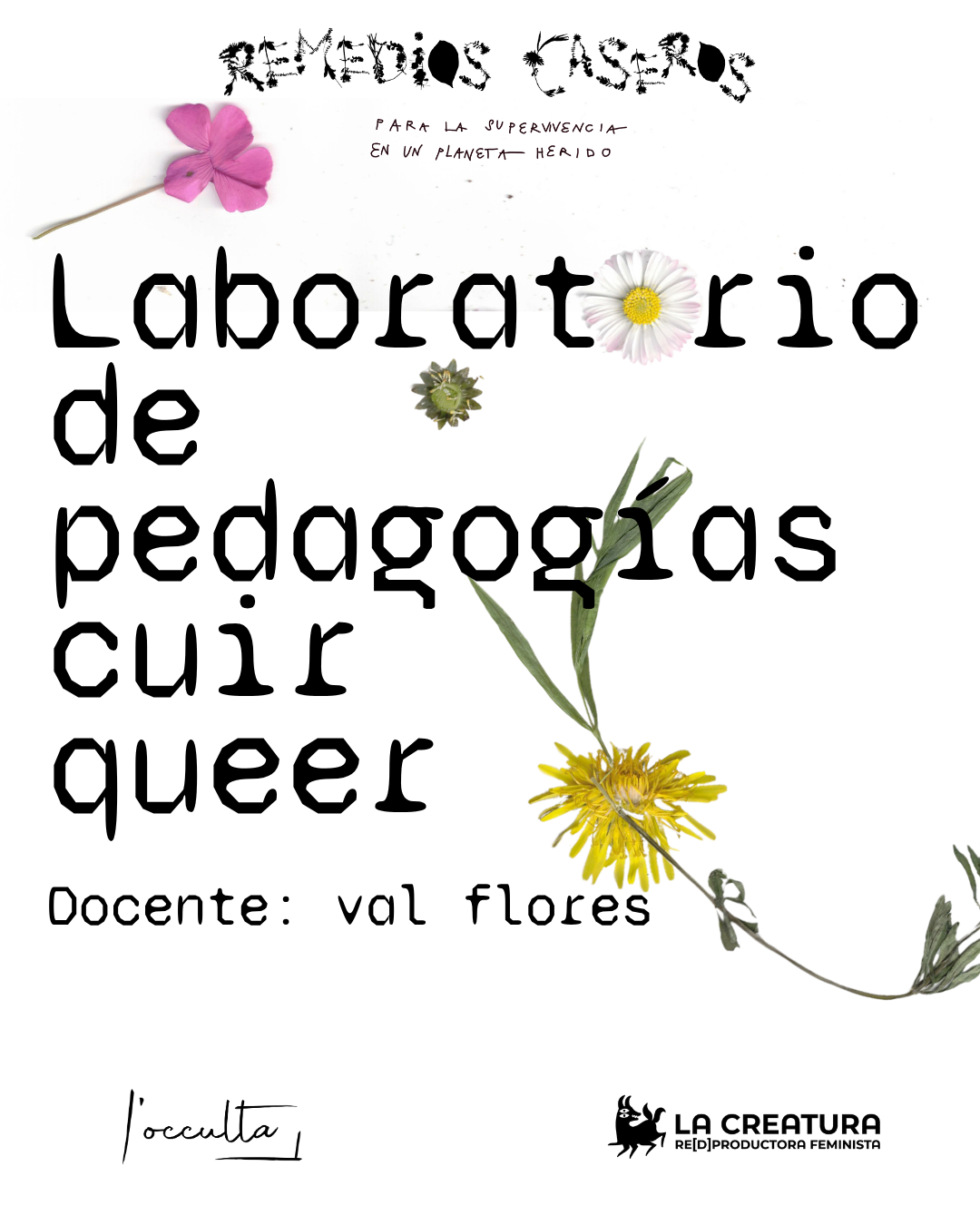 LABORATORIO DE PEDAGOGÍAS CUIR